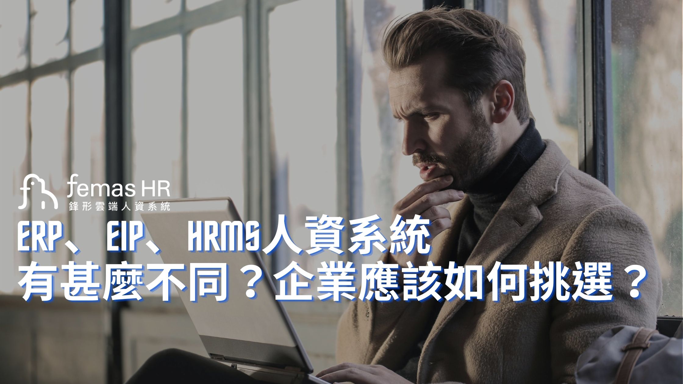 鋒形人資系統 ERP EIP HRMS