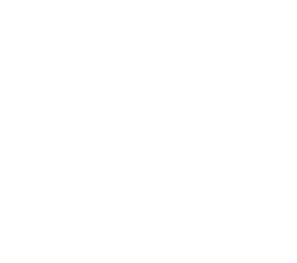 schematic diagram